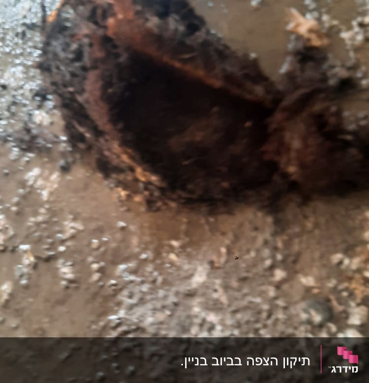 בוץ ולכלוך על הרצפה עם חפץ לא מזוהה